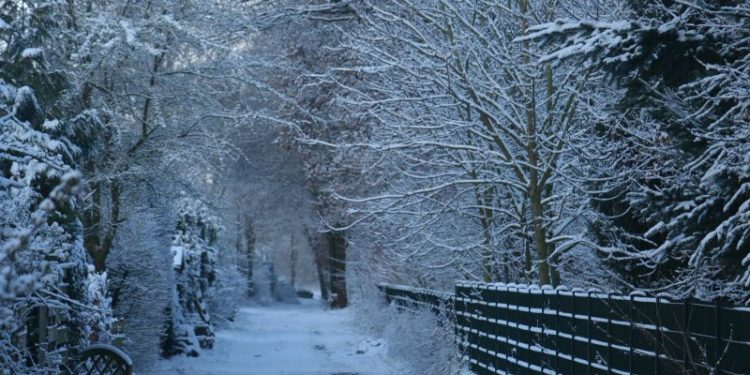 Midwinterwandeling in Holten op dinsdag 26 (2e Kerstdag) december 